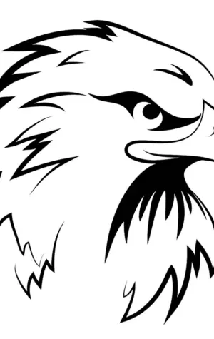 24647 Eagle head орёл