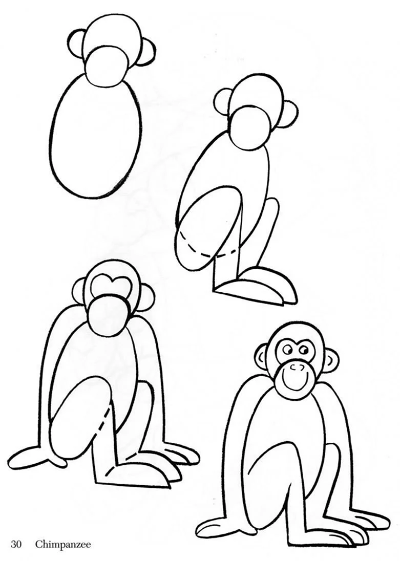 Ака нарисовать обезьну