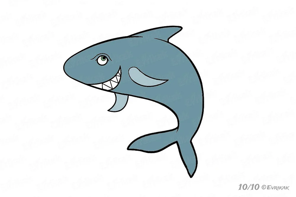 Акула для рисования