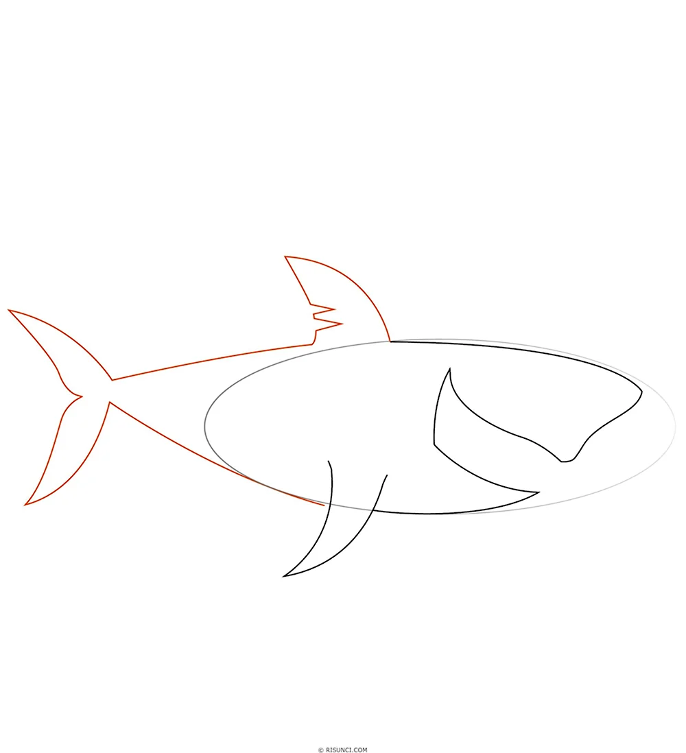 Акула для рисования