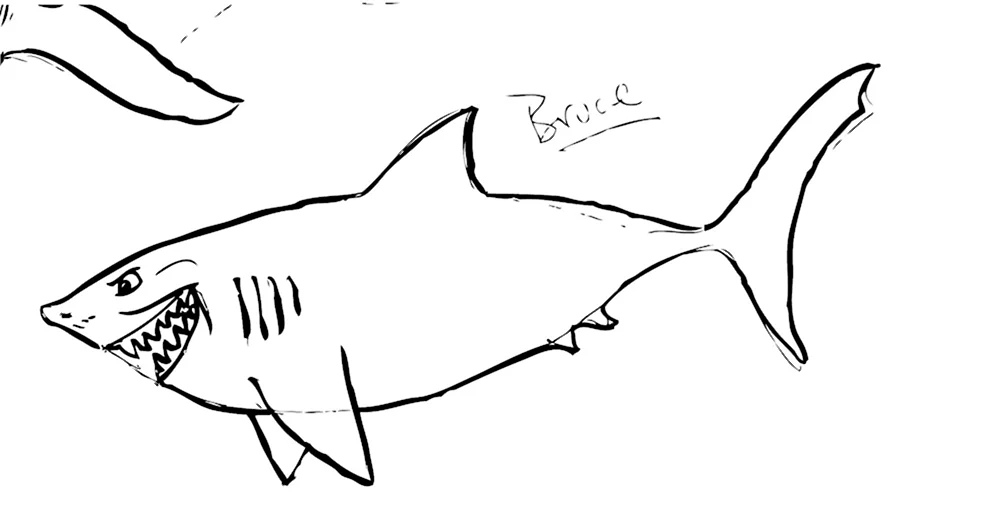 Акула рисунок для детей карандашом