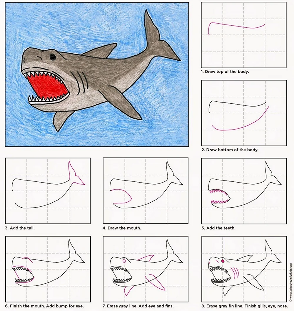 Акула рисунок пошагово