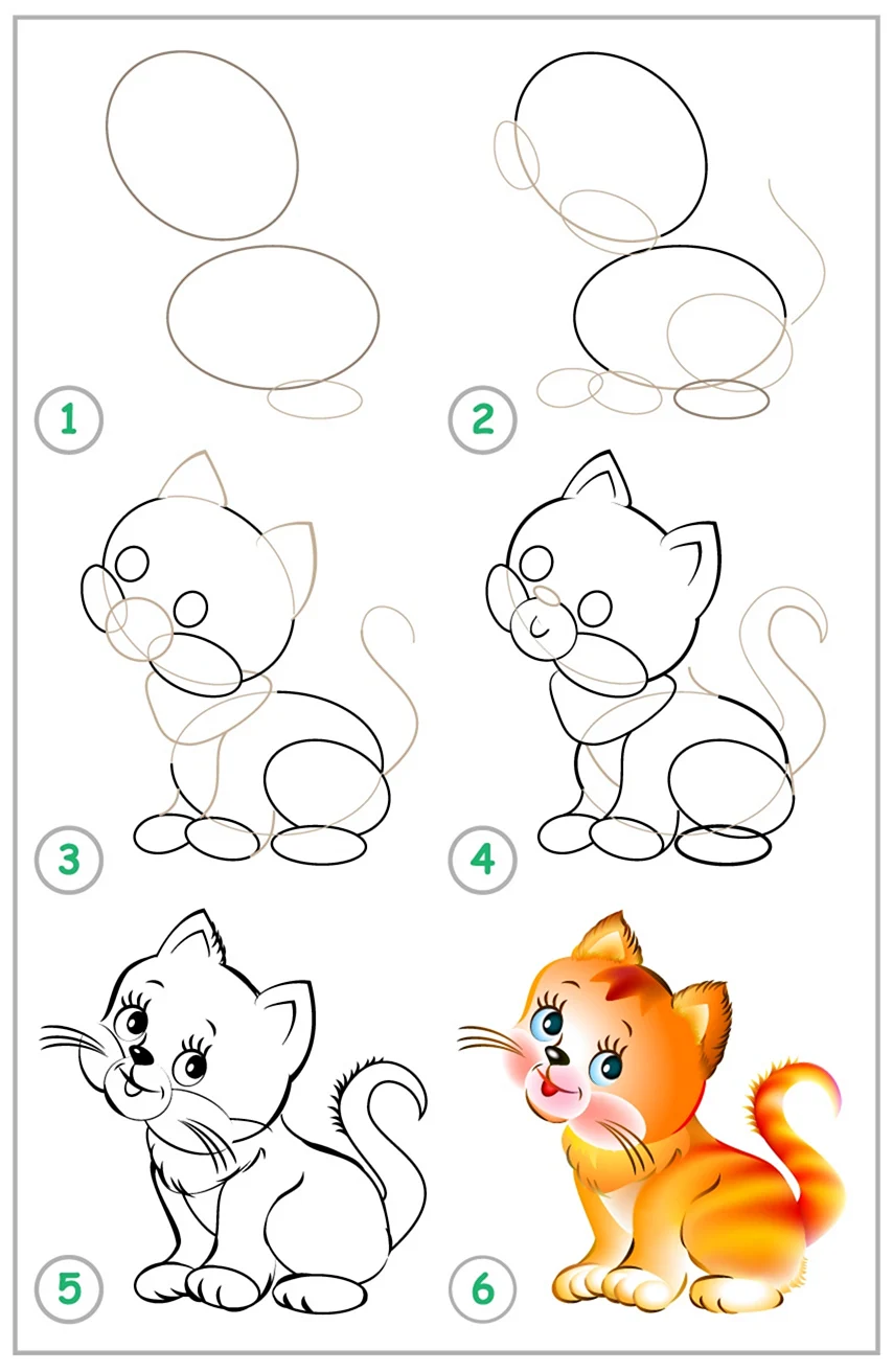 Алгоритм рисования кота для детей