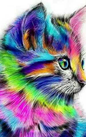 Алмазная вышивка «разноцветная кошка» lg009