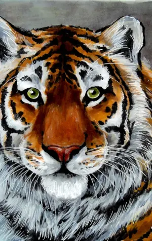 Амурский тигр арт