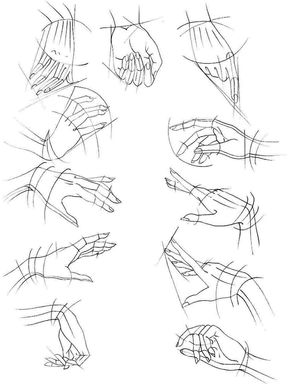 Анатомия кистей рук для рисования
