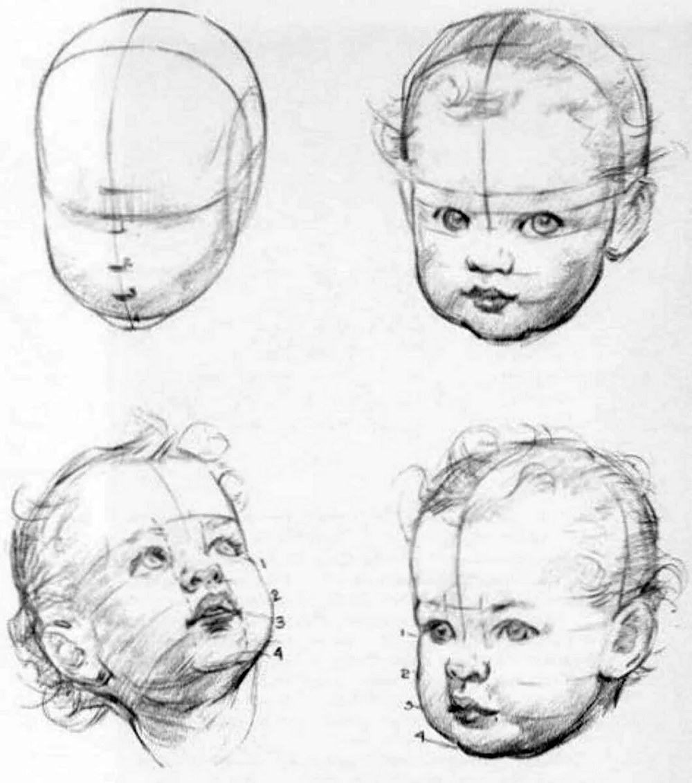 Анатомия лица ребенка