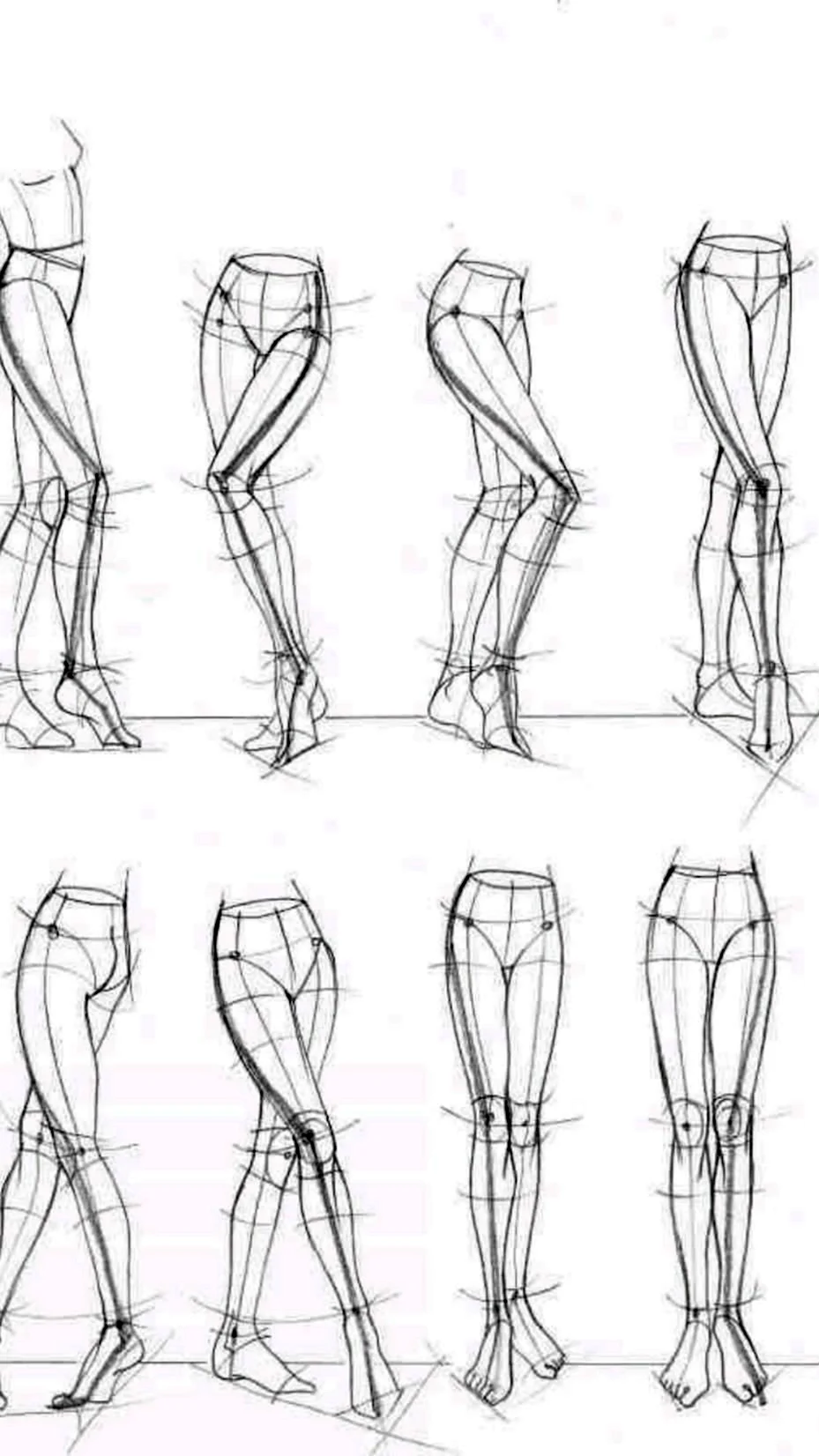 Анатомия ног для рисования
