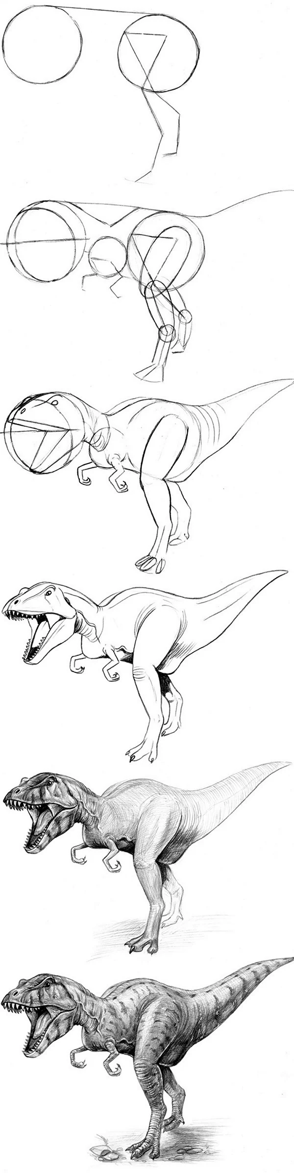 Анатомия тираннозавра для рисования