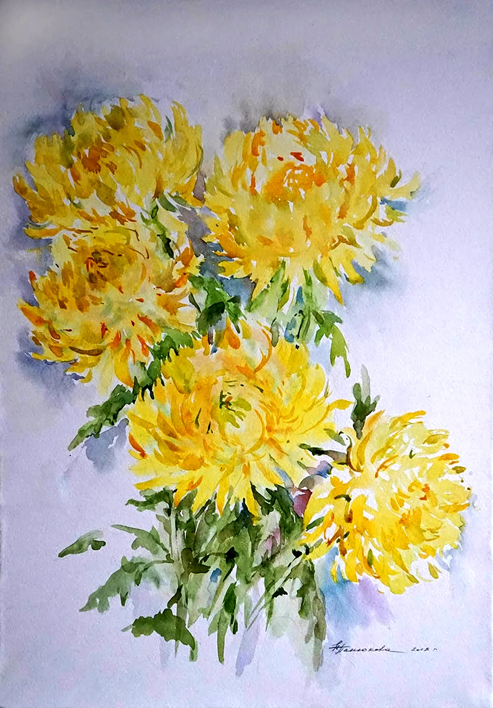 Андрияка желтые хризантемы