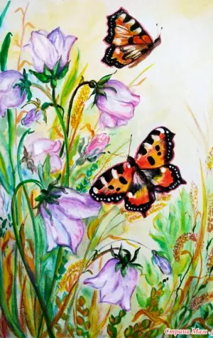 Бабочка акварельными карандашами