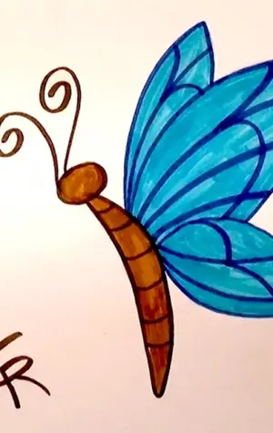 Бабочка для срисовывания