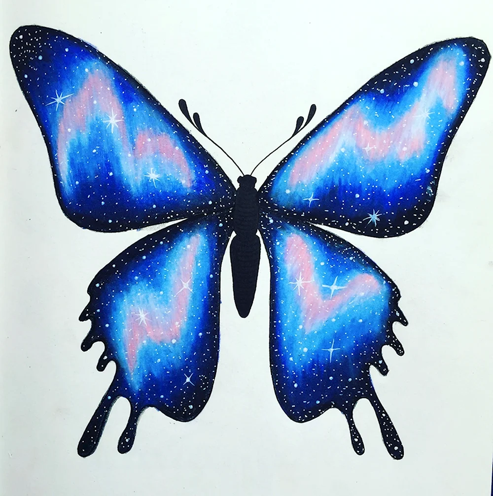 Бабочка рисунок