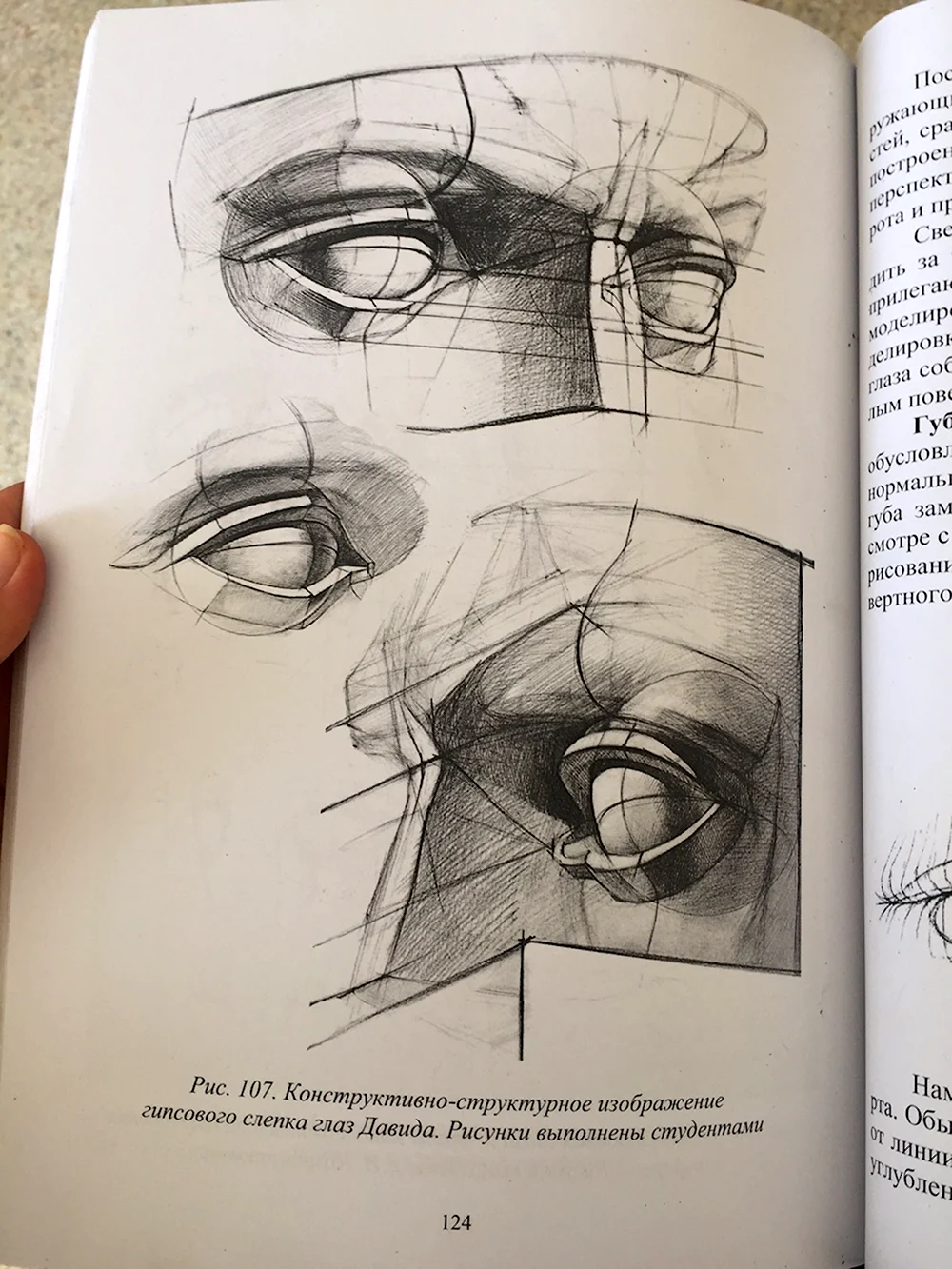 Баммес анатомия глаз