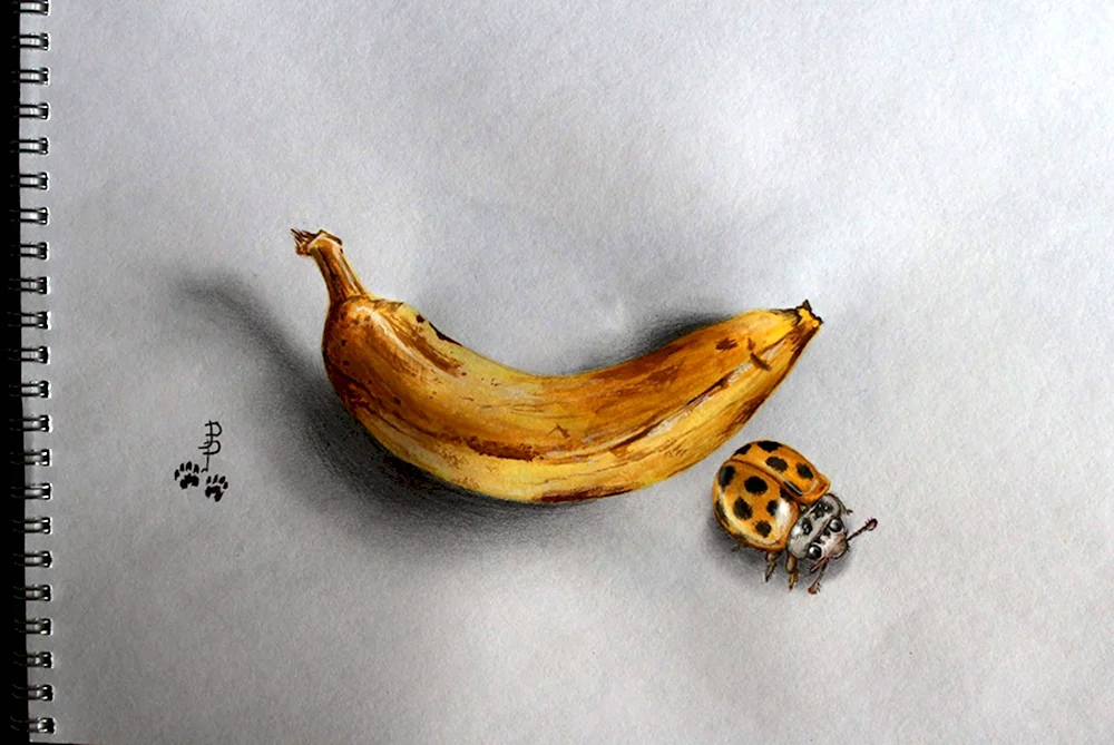 Банан акварелью