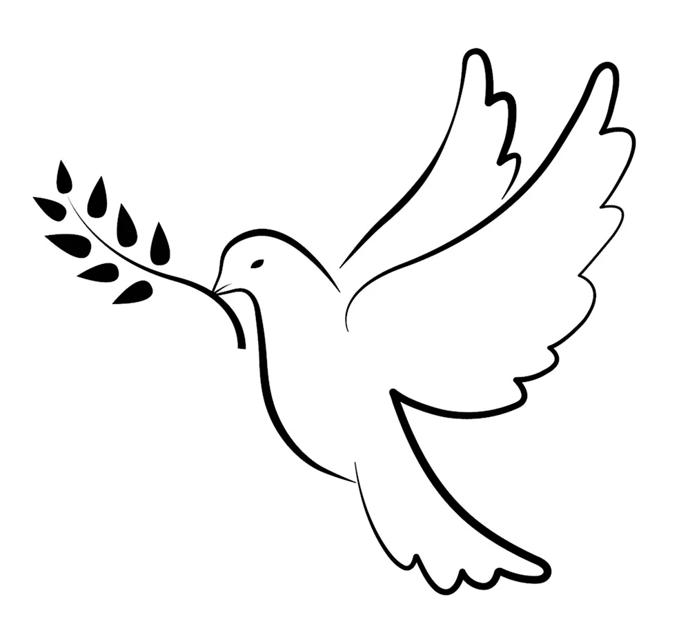 Белый голубь символ
