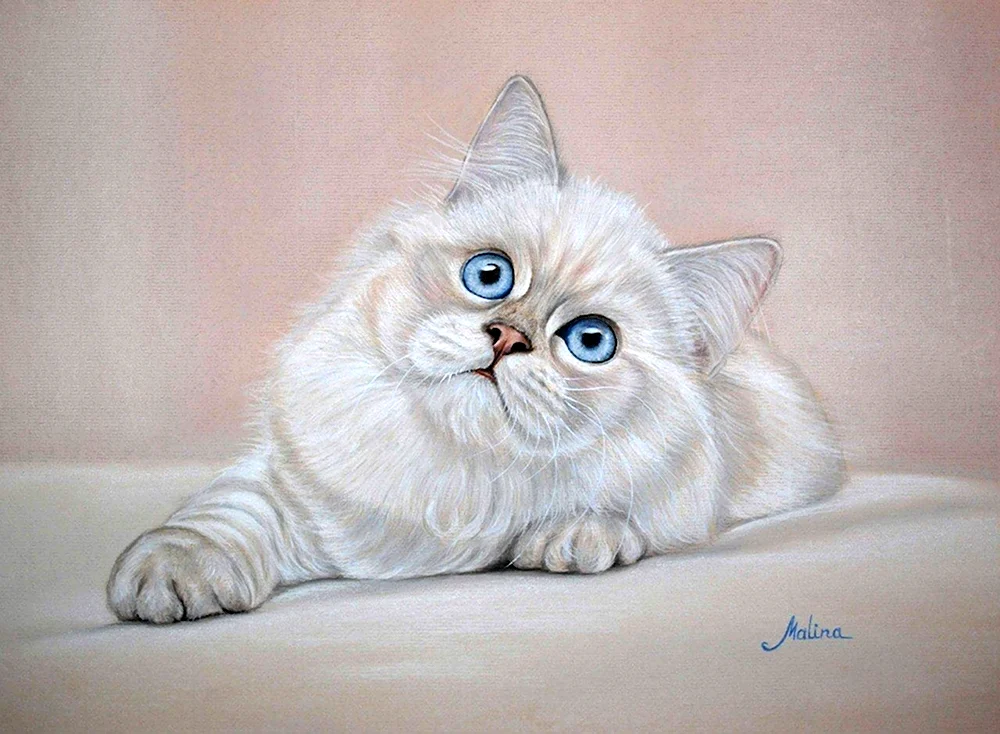 Белый кот пастелью