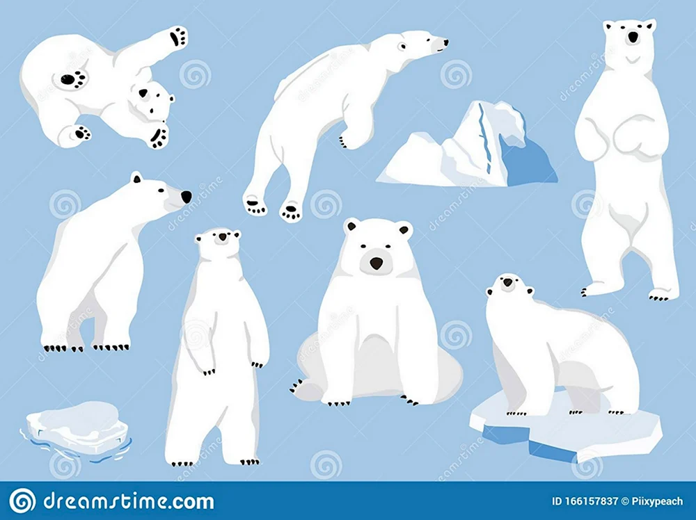 Белый медведь персонаж
