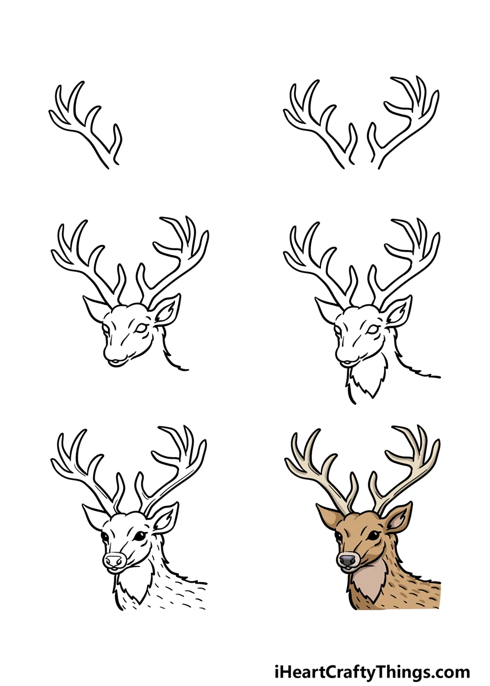 Deer easy draw