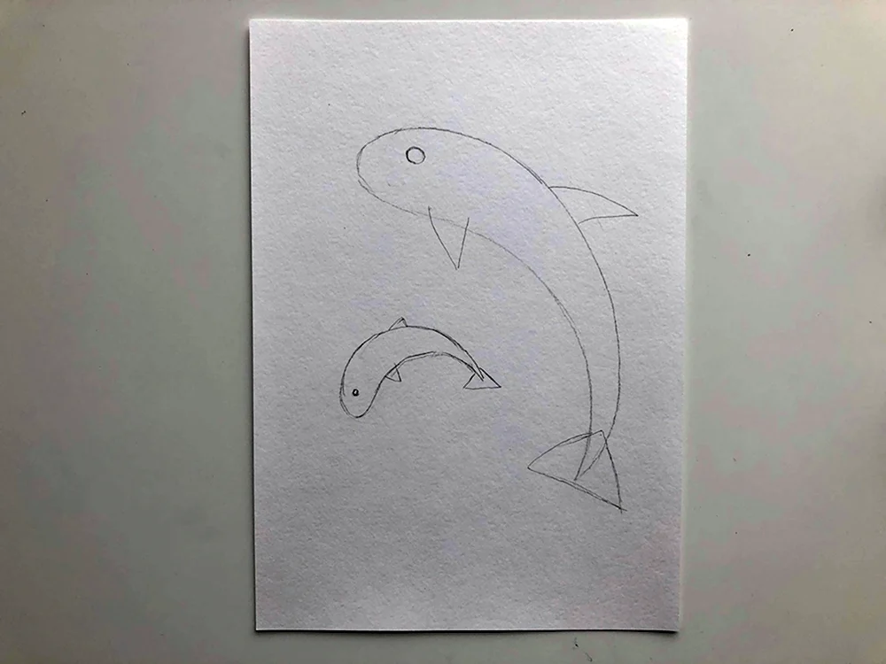 Дельфин рисование подготовительная группа поэтапно