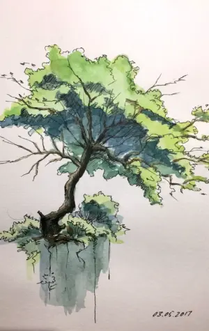 Деревья акварелью