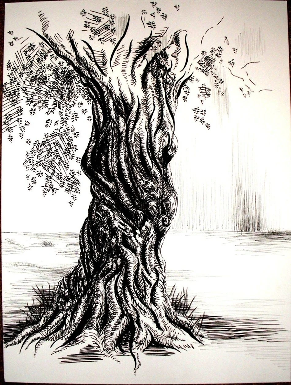 Деревья линером