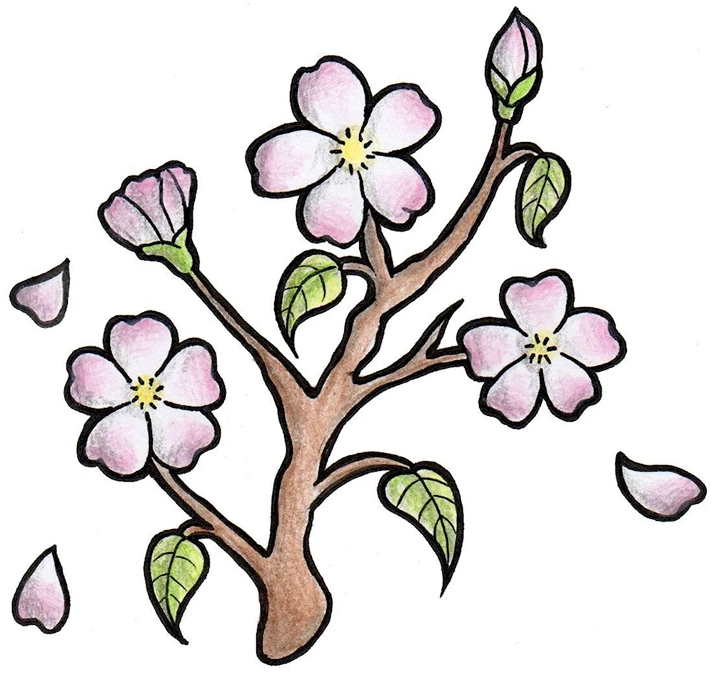 Эскиз цветущего дерева