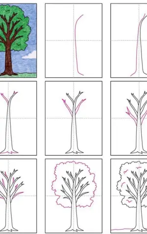 Этапы рисования дерева