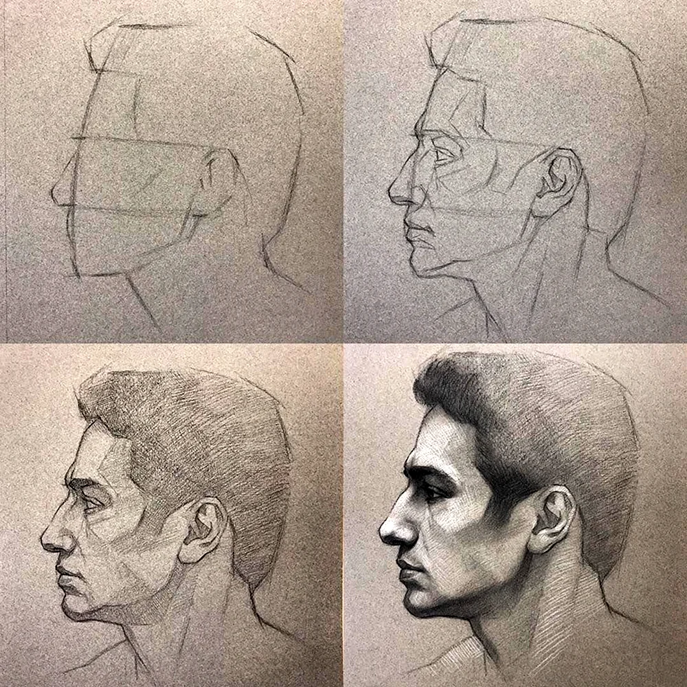 Этапы рисования головы человека