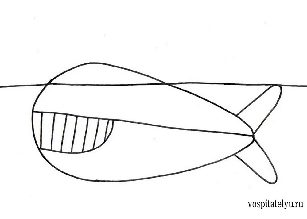 Этапы рисования кита