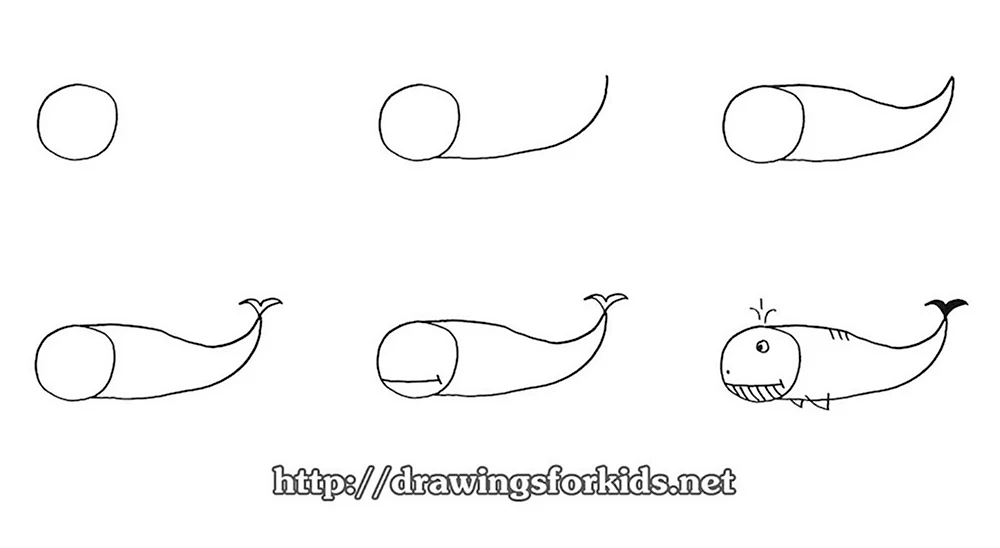 Этапы рисования кита