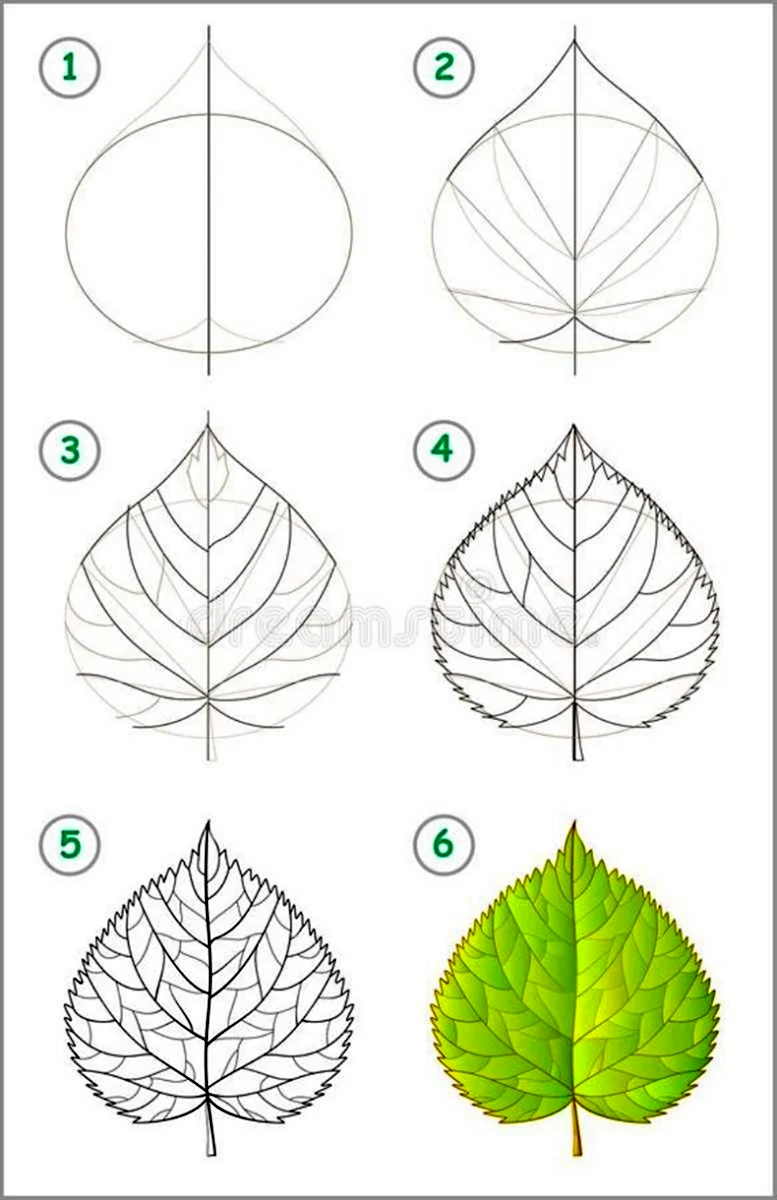 Этапы рисования листьев