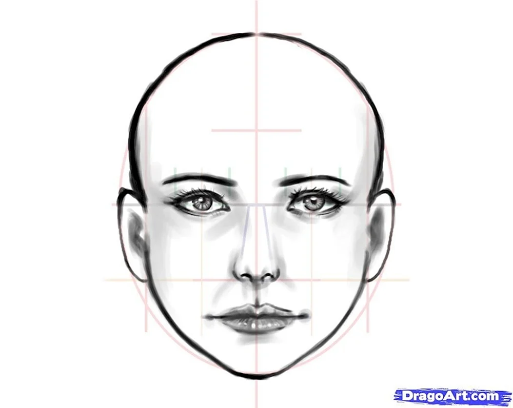 Этапы рисования лица человека