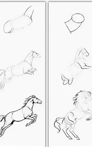 Этапы рисования лошади