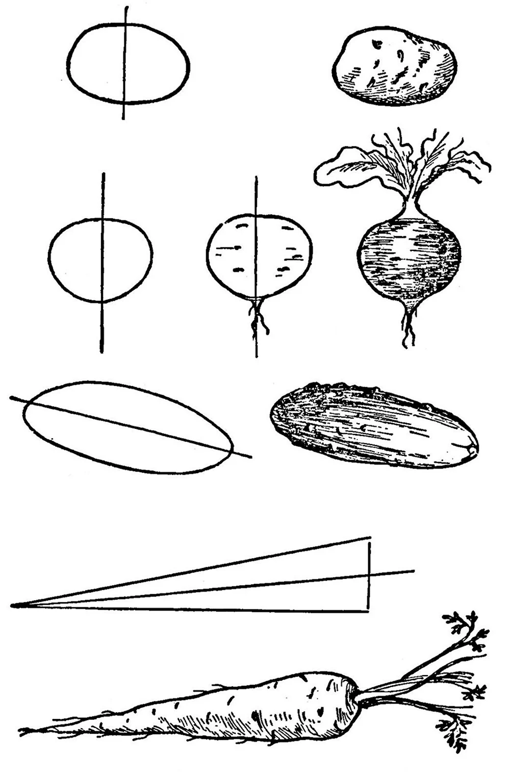 Этапы рисования овощей