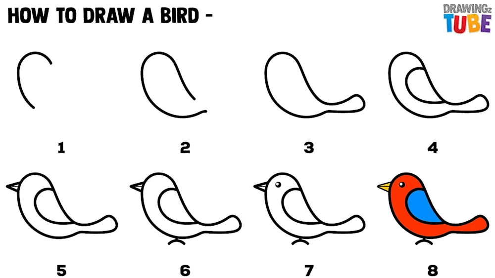 Этапы рисования птицы для дошкольников