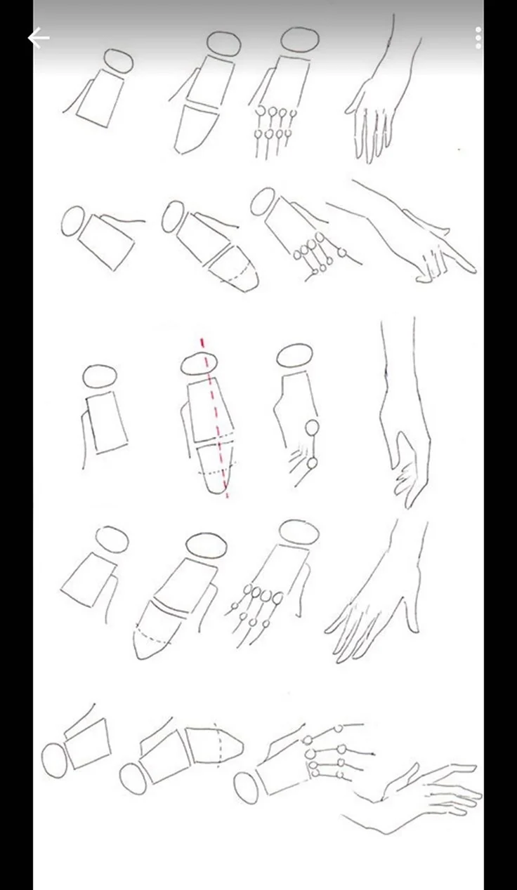 Этапы рисования рук