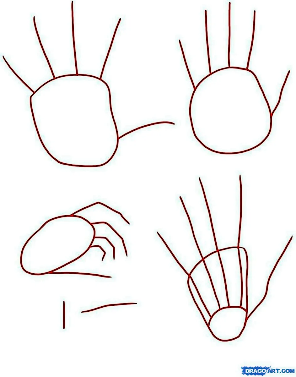 Этапы рисования рук