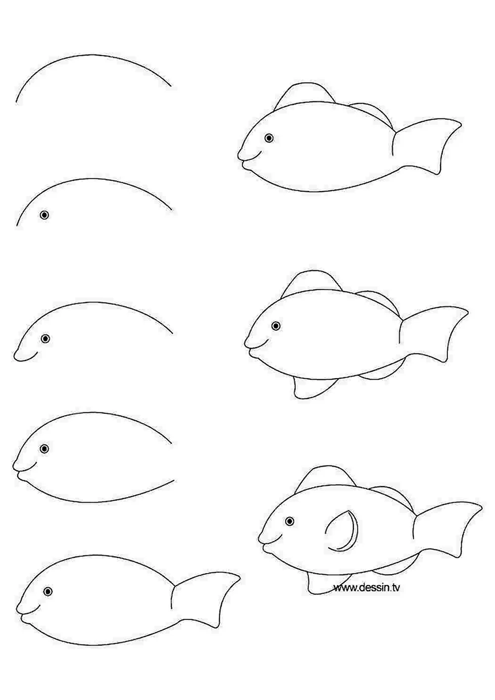 Этапы рисования рыбки