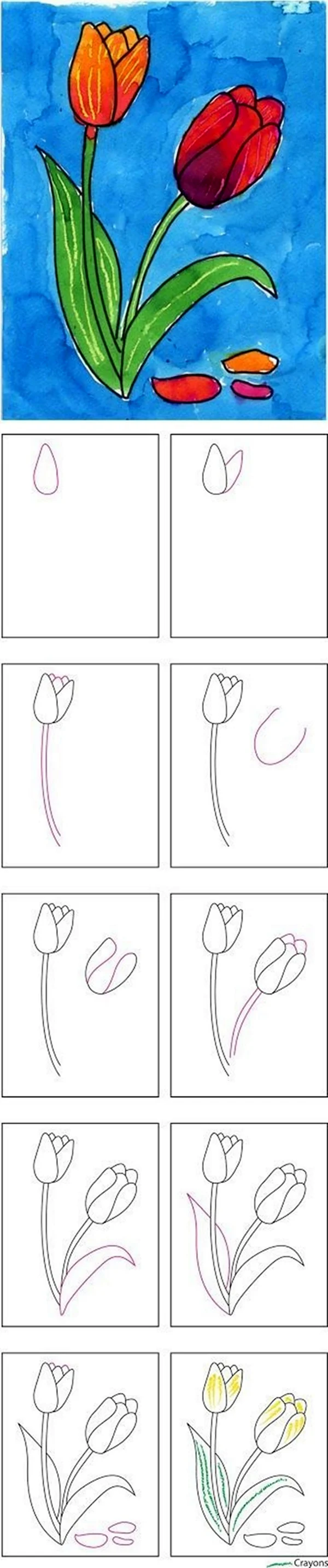 Этапы рисования тюльпана для дошкольников