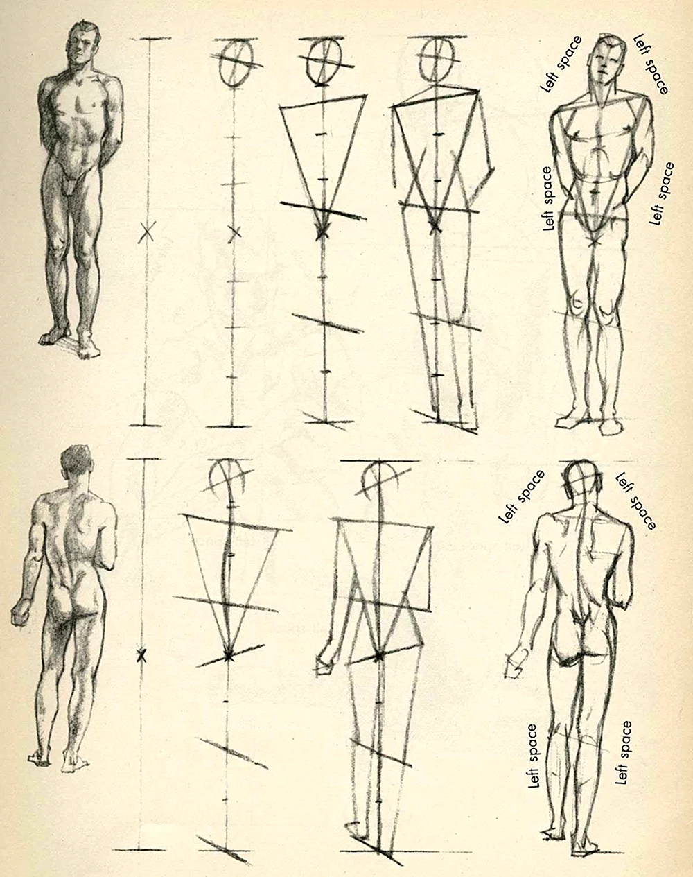 Фигура человека рисунок Академический пропорции