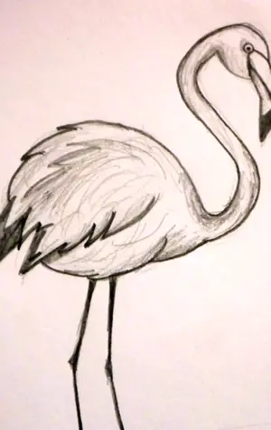Фламинго карандашом