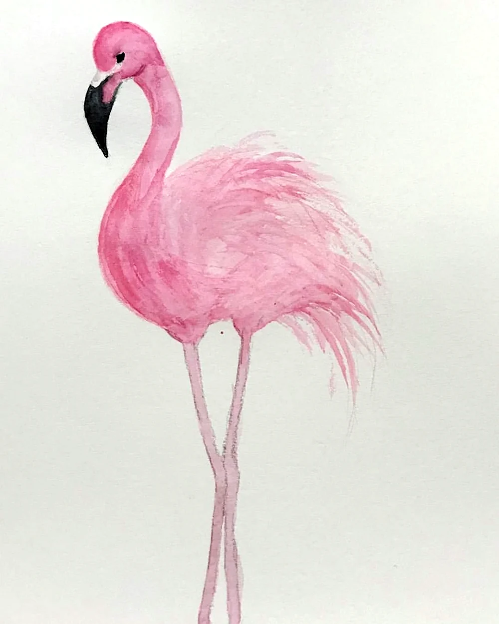 Фламинго срисовать