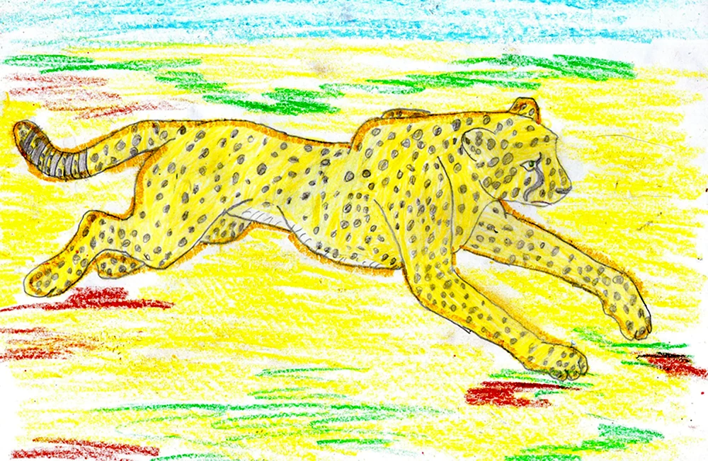 Гепард рисунок карандашом
