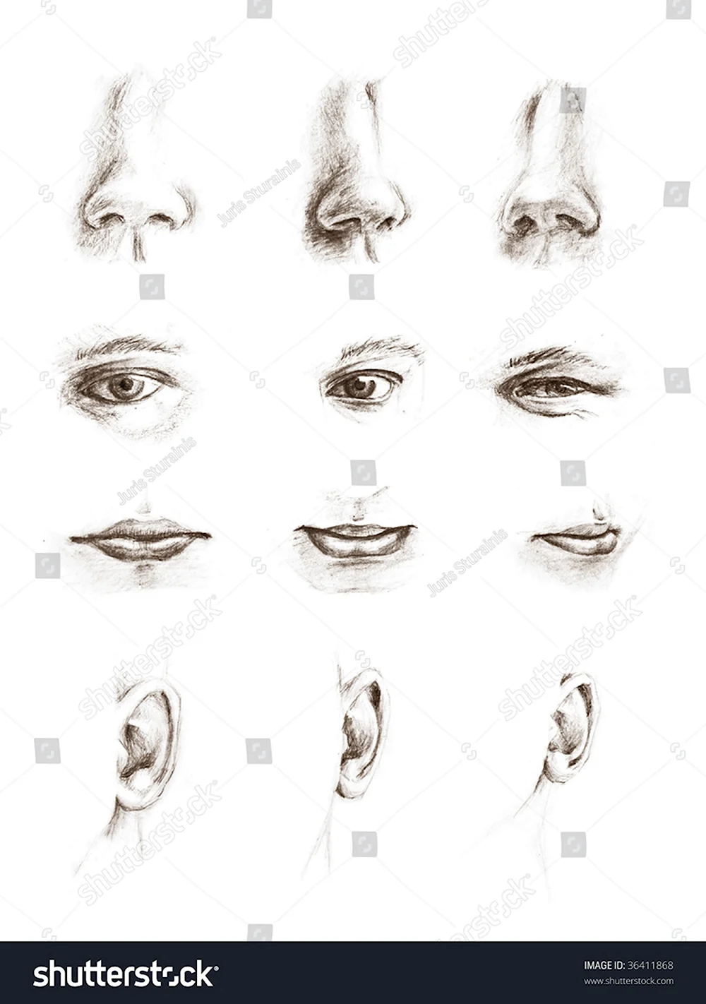 Глаза и нос карандашом