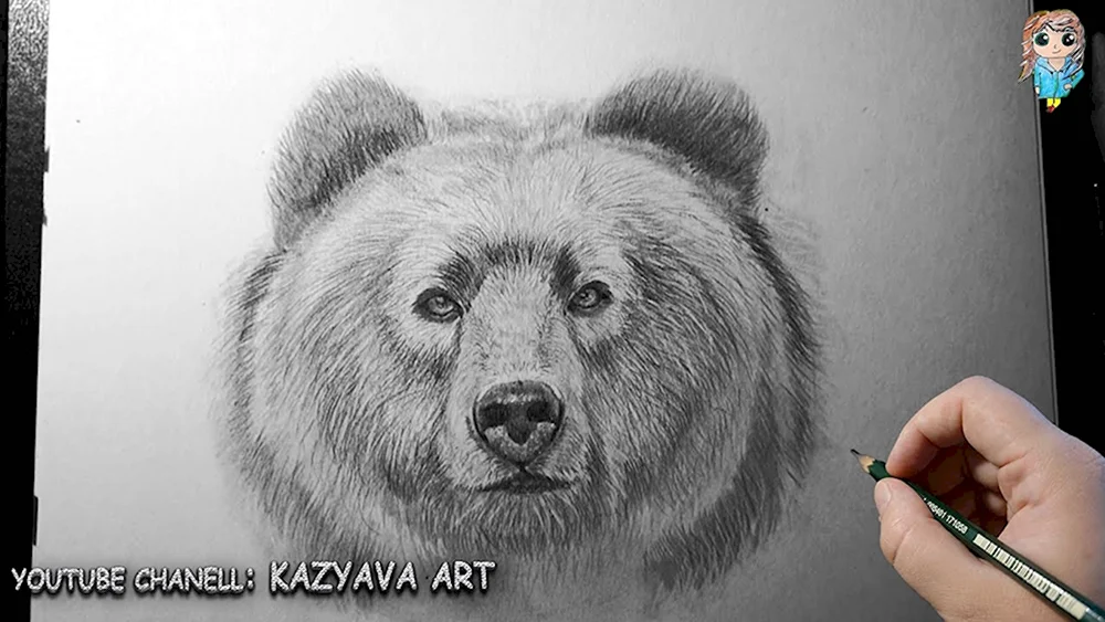 Голова медведя карандашом