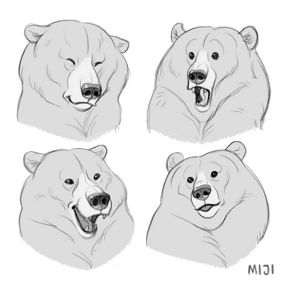 Голова медведя спереди референс