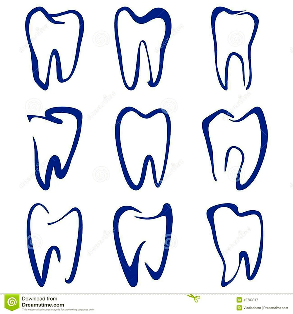 Графическое изображение зуба