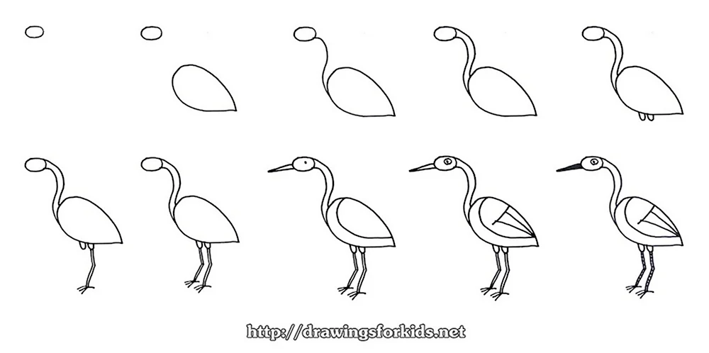 How to draw a Stork