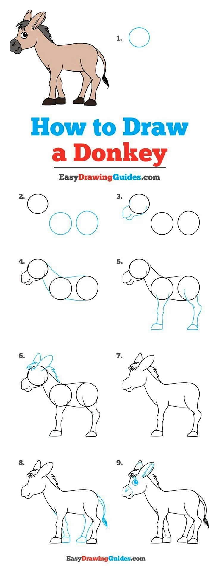 How to draw Donkey